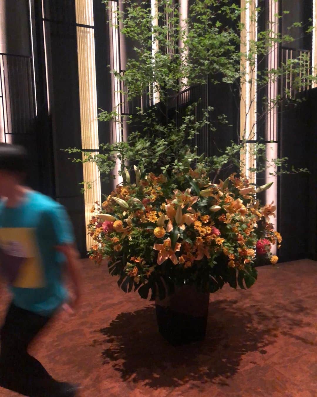 すしらーめん《りく》さんのインスタグラム写真 - (すしらーめん《りく》Instagram)「主役がイッキに「花」から『邪魔な兄』に変わる瞬間。  #flower」5月25日 23時35分 - sushi_riku