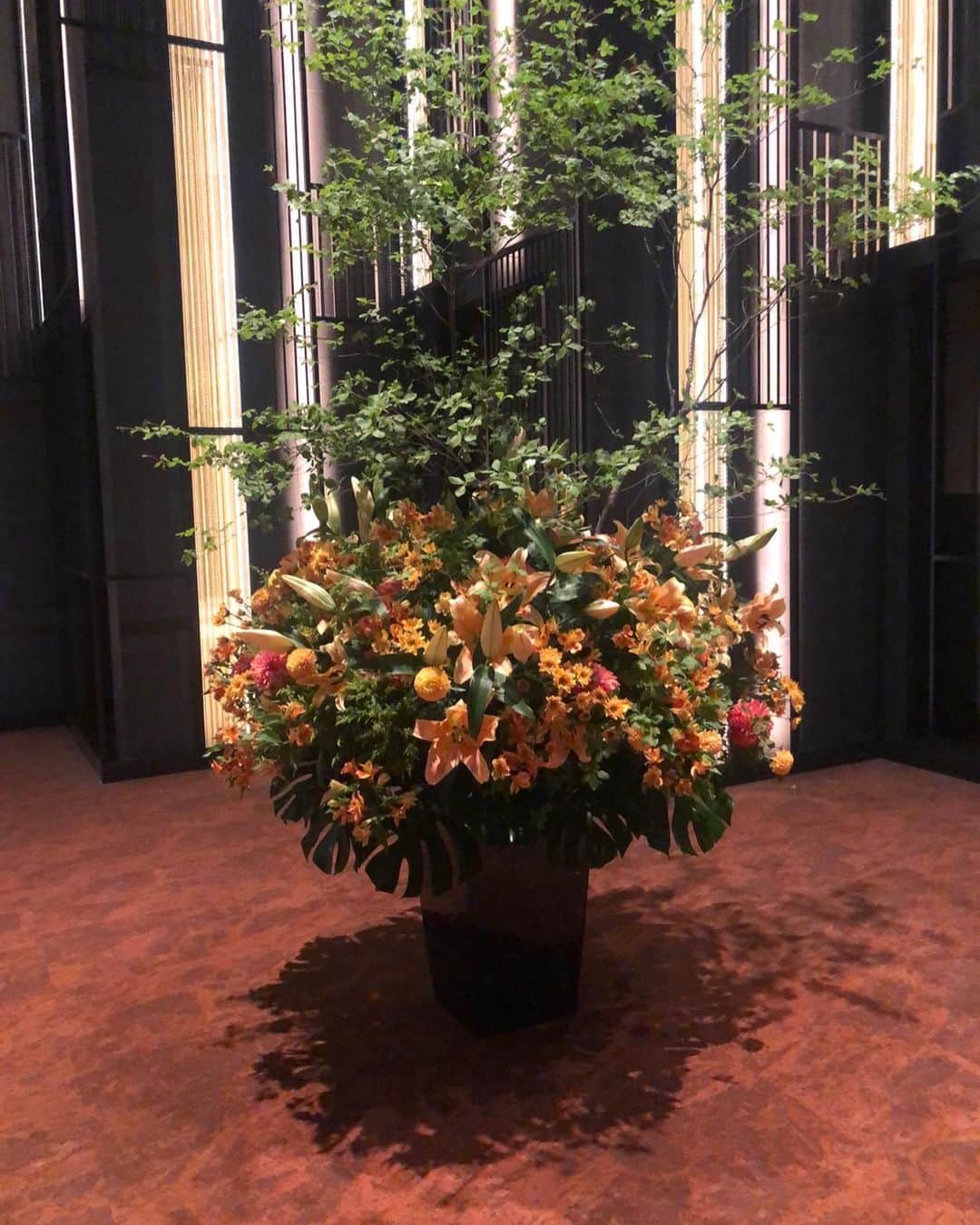 すしらーめん《りく》のインスタグラム：「主役がイッキに「花」から『邪魔な兄』に変わる瞬間。  #flower」