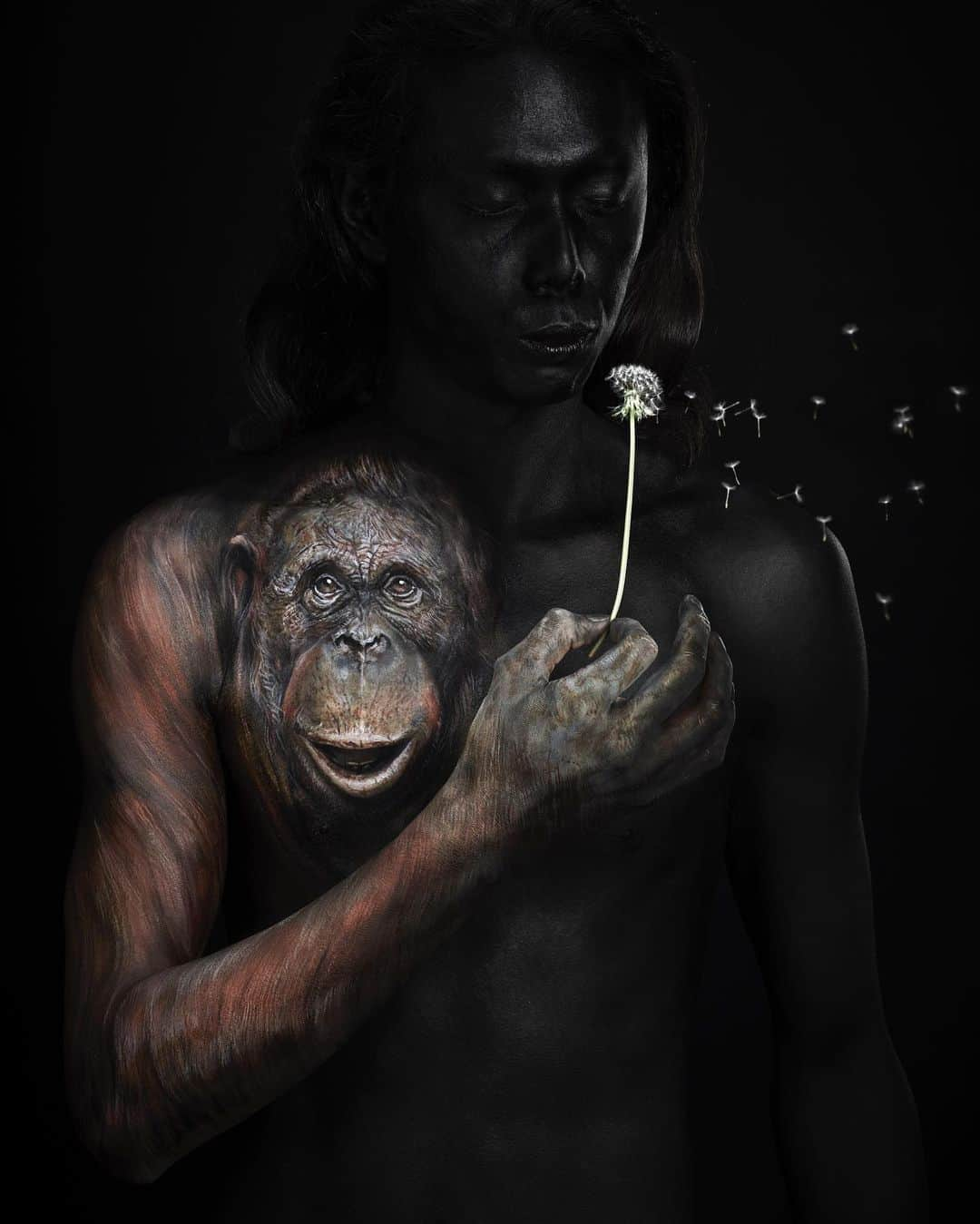 Amazing JIROさんのインスタグラム写真 - (Amazing JIROInstagram)「"As One - The series of figurative animal art: Orangutan -" The first artwork for my new project, "Animal Series" is an orangutan, which I painted on the male model's chest.  Hope you enjoy this art to details and cute orangutan will make you smile :) Body paint : #amazing_jiro Model : U Okazaki @u_okazaki Photo : Youhei Kodama @kodamax_photo  #bodypaint #painting #orangutan #animals #art #illusionmakeup #creativemakeup #airbrush #dandelion #seedhead #ボディペイント #ペイント #オランウータン #動物 #アート #たんぽぽ #綿毛 #kryolan #makeupforever #wolfefx #mehron #skinillustrator」5月25日 23時41分 - amazing_jiro