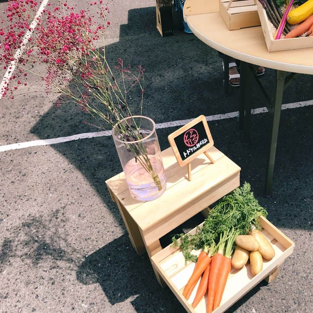 福岡超新鮮野菜/フレラボ薬院店のインスタグラム：「【はこざき 暮らしの あとつぎ市】 @atotsugiichi_hakozaki  天候にも恵まれ とてもとても楽しい1日でした👏🏻 . . 九州大学箱崎キャンパス跡地の 近代建築物の素敵な空間で  素敵なお客様と 素敵な出店者の方々 素敵な主催者の皆様と…  記念すべき第1回目に 携われて光栄でした🙏🏻 . . 糸島野菜 庄ちゃん農園の お野菜を購入して下さった皆さんが. 楽しんで食べて下さる事を 願っております！  @mightyfivestar さんの マルゲリータが最高でした！  @hakozaki_soso さんの カレーと自家製コーラが絶品！  #あとつぎ市#とどける株式会社#すぐベジ#うまちょ#八百屋#wework#ケータリング#農業#野菜#果物#agriculture#vegetable#fruit」