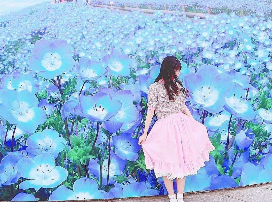 大盛真歩さんのインスタグラム写真 - (大盛真歩Instagram)「❁︎ . 今年の春は沢山お花を見に行けました！ . この前、茨城県にある #国営ひたち海浜公園  に行ってきたよ〜😊！ . ＧＷが1番の見頃だったネモフィラ❁︎をみにいきました！ . とっっても綺麗で可愛かった～🥰ひたち海浜公園はネモフィラだけじゃなくて四季によってお花や植物が変わって一年中楽しめるみたいなので、是非皆さん茨城に来た際は寄ってみてください🌿❤︎ . #国営ひたち海浜公園ネモフィラ #遊園地 #お散歩 #お花 #ネモフィラ #茨城県」5月25日 15時14分 - maho_usagi