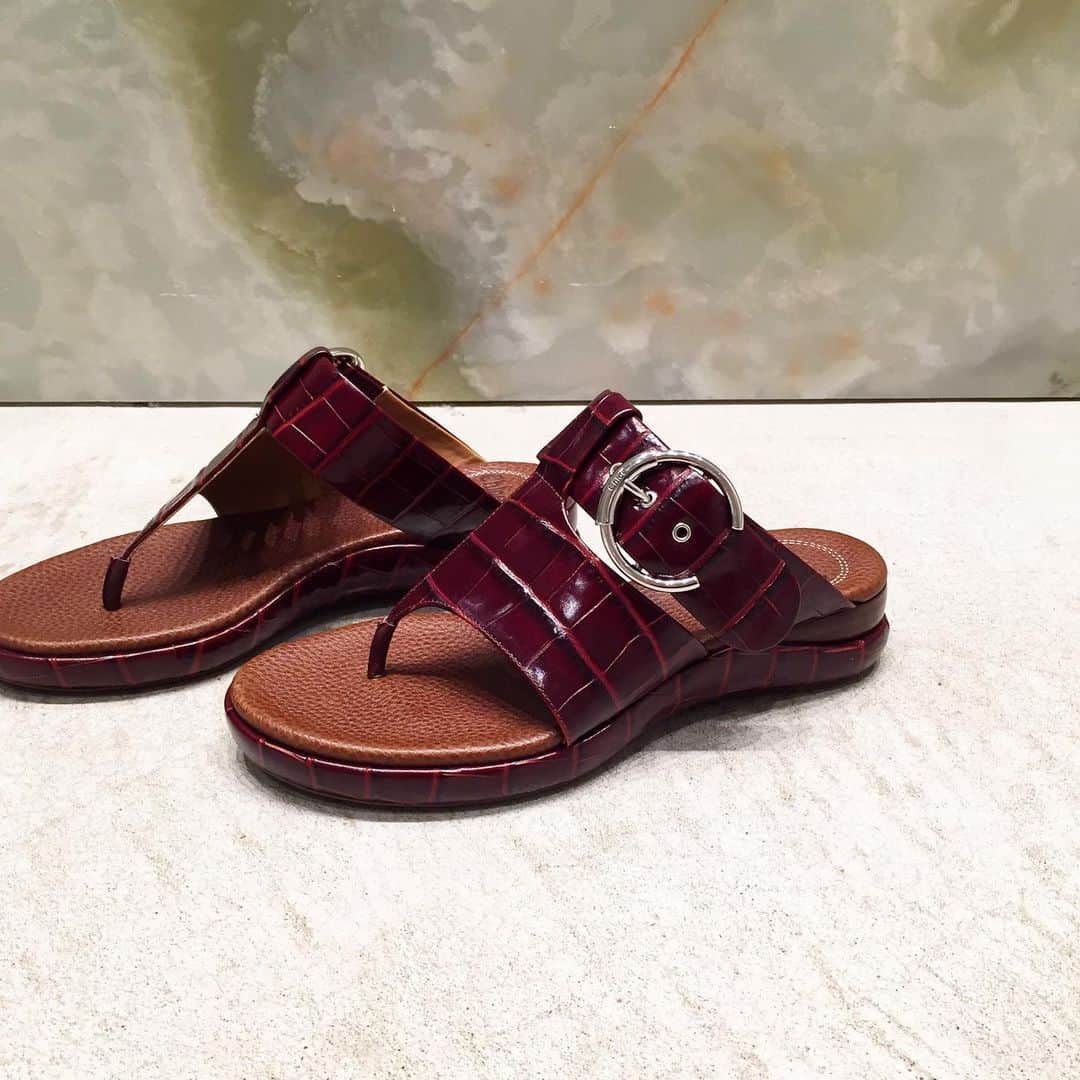 のインスタグラム：「＜Chloe＞ tong sandal for women ¥94,000-(+tax)  #H_beautyandyouth @h_beautyandyouth  #BEAUTYANDYOUTH #Unitedarrows #chloe」