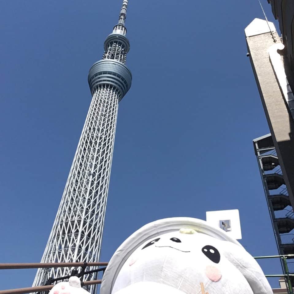 さのまるのインスタグラム