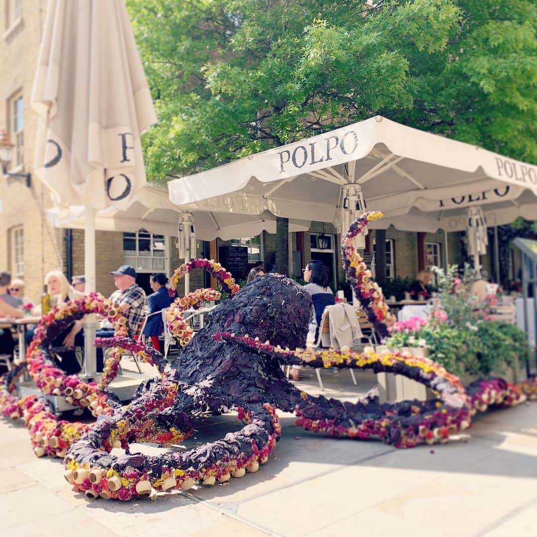 MEGのインスタグラム：「今年のテーマは under the sea 🐋 タコ多め。#chelseainbloom」