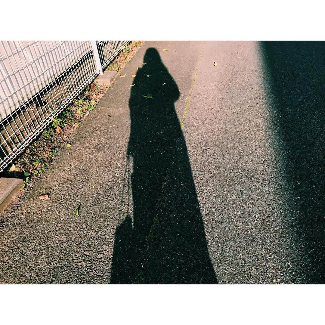 権藤朱実さんのインスタグラム写真 - (権藤朱実Instagram)「. 昨日の朝の一人遊び♪ #Japan #Tokyo #photo #shadow #akephoto #写真 #風景 #影遊び #影 #早朝 #一人遊び #model #satorujapan #akemigondo #モデル #サトルジャパン #権藤朱実 →@satorujapan_official @akemigondo ☑︎プロフィールのリンクにて、blog更新中！ My blog『ake photo』 →http://ameblo.jp/akemi-gondo/」5月25日 15時51分 - akemigondo