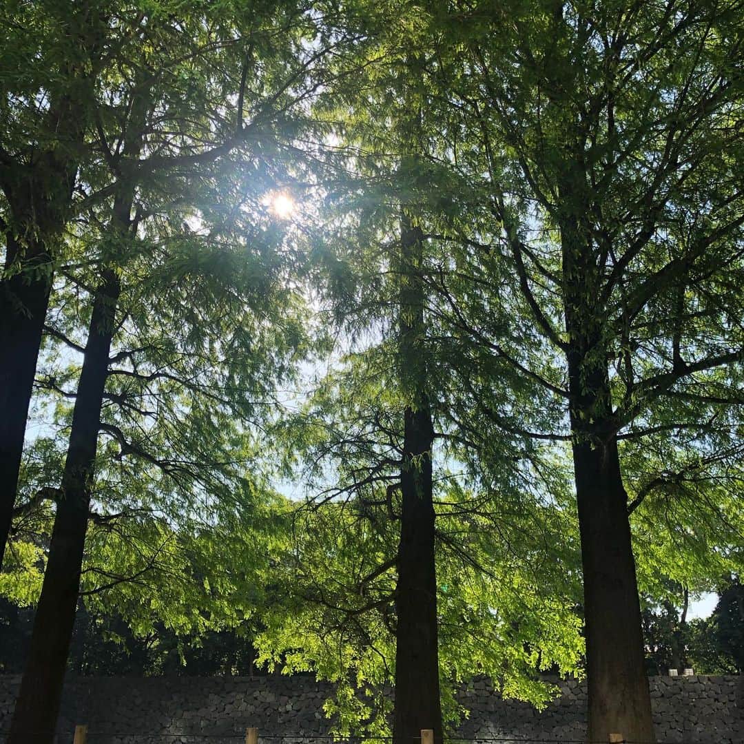 ザックポーゼンさんのインスタグラム写真 - (ザックポーゼンInstagram)「Afternoon Garden walk in the #imperialpalace」5月25日 15時51分 - zacposen
