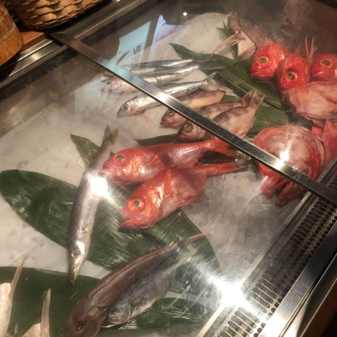 世手子さんのインスタグラム写真 - (世手子Instagram)「Enjoying golden eye snapper in Japan٩(๑❛ᴗ❛๑)۶ The cost performance of fish dishes is great✌︎('ω')✌︎ I love everyone(*´꒳`*) Thank you for your comments(^_−)−☆ https://item.woomy.me/c/40602 @rinka_snjk #凛火本店 に行ってきたょ(^｡^) #新宿駅 からすぐそばの #新宿居酒屋 ！ #新宿海鮮 #新宿グルメ (*´ω｀*) #コスパよし の #新宿ディナー です！ 4000円のコースしかも飲み放題でこのクオリティは素晴らしかったょ)^o^( #イヤリング：#ルピス @queen.lupis (k144)コーデ(^^) お料理11品　豪華7皿盛り合わせ～ 【前　菜】 前菜5種盛り合わせ ・鶏チーズ・明太子射込み・桜桃つくね・千鳥海老黄味寿司・エシャロット諸味噌・空豆白扇揚げ ・ ・ 【刺　身】 豪華！中トロと銚子直送天然鮮魚の舟盛り ・ ・ 【焼　物】　スズキ新緑焼き ・ ・ 【揚　物】　蓮根と海老真丈の挟み揚げ ・ ・ 【食　事】　桜海老と空豆の土飯飯 ・ ・ 【お　椀】　かき玉子汁 ・ ・ 【甘　味】　ベリームース  これだけついて4000円は素晴らしい！味も美味しかったのでオススメですっっ  youtubeにも上げるのでみてねー！  今日も暑いけど頑張ろー！ 凛火本店で検索してね! Casting by @woomy.restaurant」5月25日 16時24分 - rojide