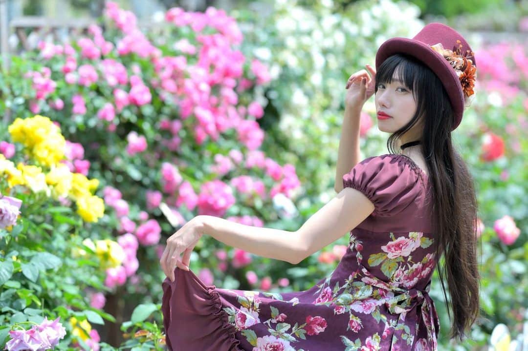 のインスタグラム：「薔薇の季節はロリィタさんにとっても最高ですね❤️✨🙏 . #portrait #portraitphotography #ファインダー越しの私の世界 #instagood #fashion #photographer #photooftheday #東京カメラ部 #tokyocameraclub  #ポートレートしま専科 #japanesegirl #followme #ig_japan  #kawaiigirl #インスタグラマー  #ootd #ootdfashion #薔薇 #flower #flowerstagram #クラロリ #ロリィタ好きさんとつながりたい」