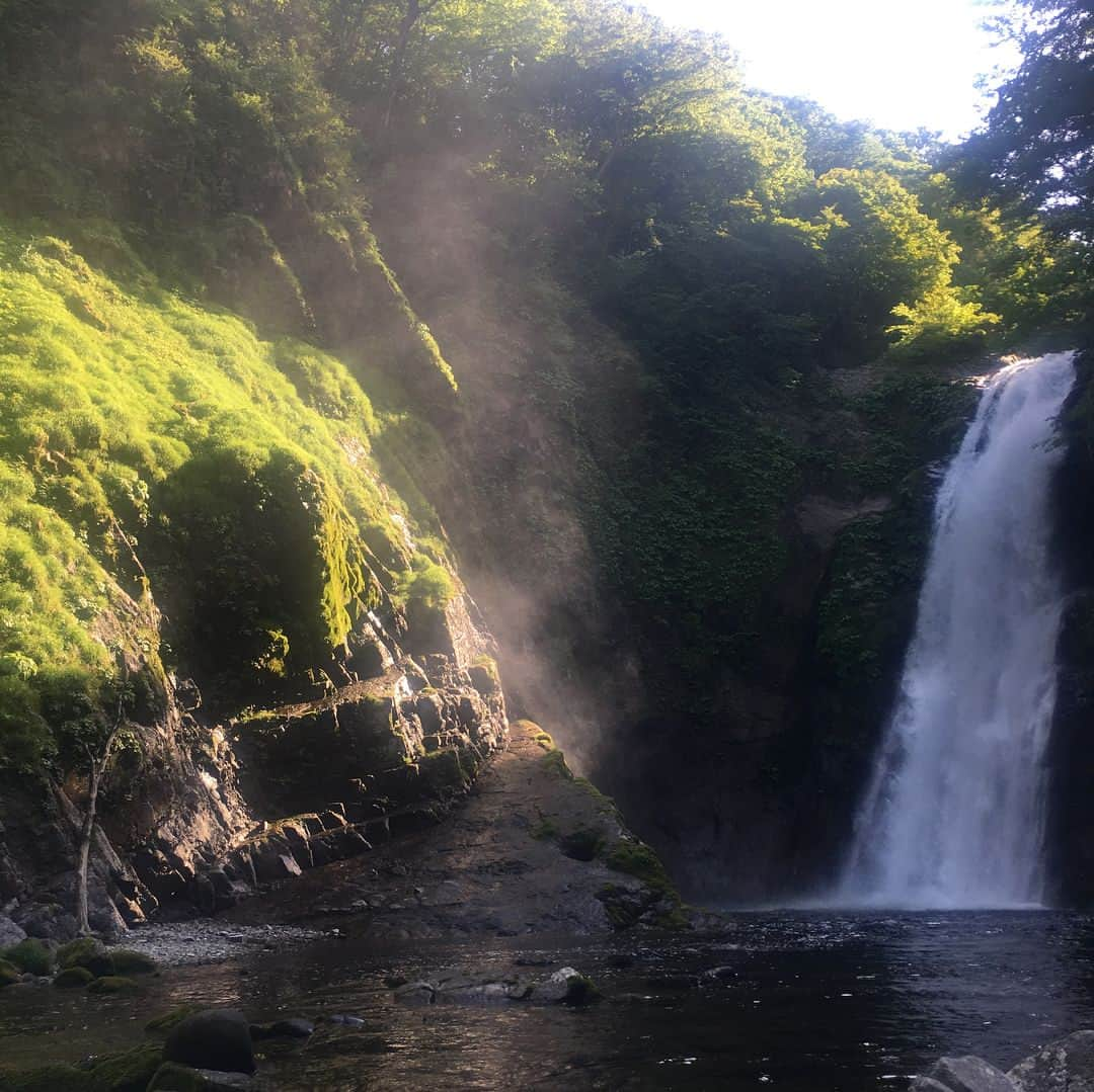 風谷南友さんのインスタグラム写真 - (風谷南友Instagram)「宮城に来ました✨ 明日は、毎月第４日曜日のイベント #秋保神社 ⛩「 #悪運斬り #勝運抜刀 #勝幟 」です！全て入れ込んでみました😊✨ Tomorrow, at the Akiu shrine in Miyagi Prefecture, the sword event ・ https://tripsjpn.com/akiu/ 参加頂いた方から嬉しい声を頂きました✨✨ 勝幟🎌のお写真と共に⛩✨ 今回は #秋保大滝 にも来てパワーを頂いております☀️✨」5月25日 17時36分 - nayu.jp_149cm