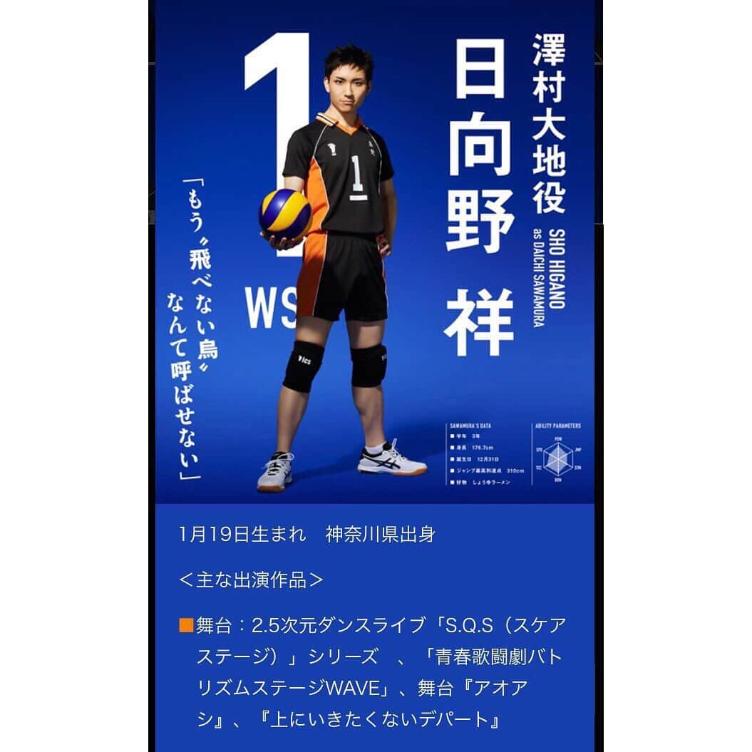 日向野祥さんのインスタグラム写真 - (日向野祥Instagram)「ハイパープロジェクション演劇 「ハイキュー!!」にて 烏野高校キャプテン澤村大地 役を演じさせて頂くこととなりました。  昔から見ていた作品だけに 楽しみとプレッシャーが半々ですが新たな人物の人生を板の上で生き抜きたいと思います。  どうぞ宜しくお願い致します。  #日向野祥 #ハイキュー!! #澤村大地 #キャプテン #新たな人生 #生き抜きます」5月25日 18時01分 - sho_higano