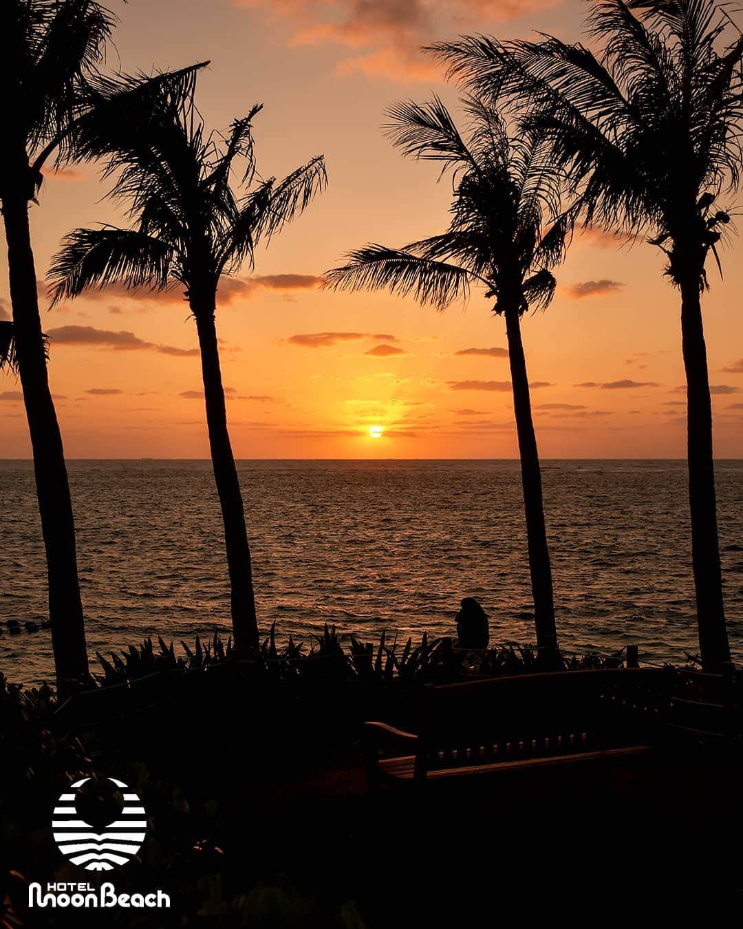 のインスタグラム：「５月２１日、梅雨の晴れ間のエキゾチックなサンセット Exotic Sunset 21May2019 #沖縄 #恩納村 #沖縄ホテル #沖縄リゾートホテル #沖縄旅行 #沖縄ビーチ #沖縄プール #インフィニティプール #沖縄サンセット #沖縄好き #夕焼け #夕陽 #ホテルムーンビーチ #ムーンビーチ #ムーンビーチホテル #okinawa #okinawabeach #okinawahotel #okinawaresorthotel #okinawatrip #okinawapool #okinawasunset #okinawalikes #okinawalabo #okinawa_life #infinitypool #moonbeach #moonbeachhotel #docomomo #japan」