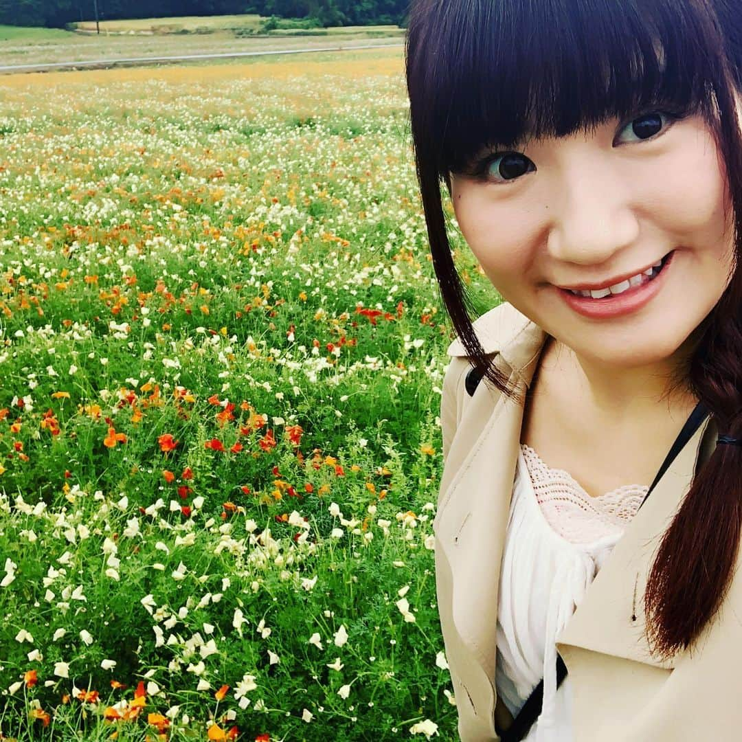 春日萌花さんのインスタグラム写真 - (春日萌花Instagram)「雨の日ならではの美しさ☂️ ✴︎ ✴︎ 鴻巣市にある日本一のポピー畑へ💐 花びらが柔らかいため、雨粒でシュンと下を向いてしまっているお花も多かったのですが💦 元気なお花を探して撮影📷(ほぼディレクターさんがです😅) 濡れてキラキラと煌めくポピーやネモフィラ 美しかったです✨ ✴︎ ✴︎ 5月26日までお祭りを開催しているそうですよ🙌  #雨の日のお出かけ #雨 #お花畑 #鴻巣市 #埼玉観光 #おすすめスポット #日本一のポピー畑 #ポピー #ポピー畑 #お花 #キラキラ #初夏 #ファンラジ795 #nack5 #春日萌花 #womanwrestling #womanwrestler #prowrestling #prowrestler #japan #flower #rain #followｍe #travel」5月25日 18時46分 - moekaharuhi