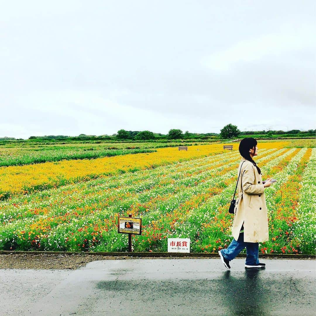 春日萌花さんのインスタグラム写真 - (春日萌花Instagram)「雨の日ならではの美しさ☂️ ✴︎ ✴︎ 鴻巣市にある日本一のポピー畑へ💐 花びらが柔らかいため、雨粒でシュンと下を向いてしまっているお花も多かったのですが💦 元気なお花を探して撮影📷(ほぼディレクターさんがです😅) 濡れてキラキラと煌めくポピーやネモフィラ 美しかったです✨ ✴︎ ✴︎ 5月26日までお祭りを開催しているそうですよ🙌  #雨の日のお出かけ #雨 #お花畑 #鴻巣市 #埼玉観光 #おすすめスポット #日本一のポピー畑 #ポピー #ポピー畑 #お花 #キラキラ #初夏 #ファンラジ795 #nack5 #春日萌花 #womanwrestling #womanwrestler #prowrestling #prowrestler #japan #flower #rain #followｍe #travel」5月25日 18時46分 - moekaharuhi