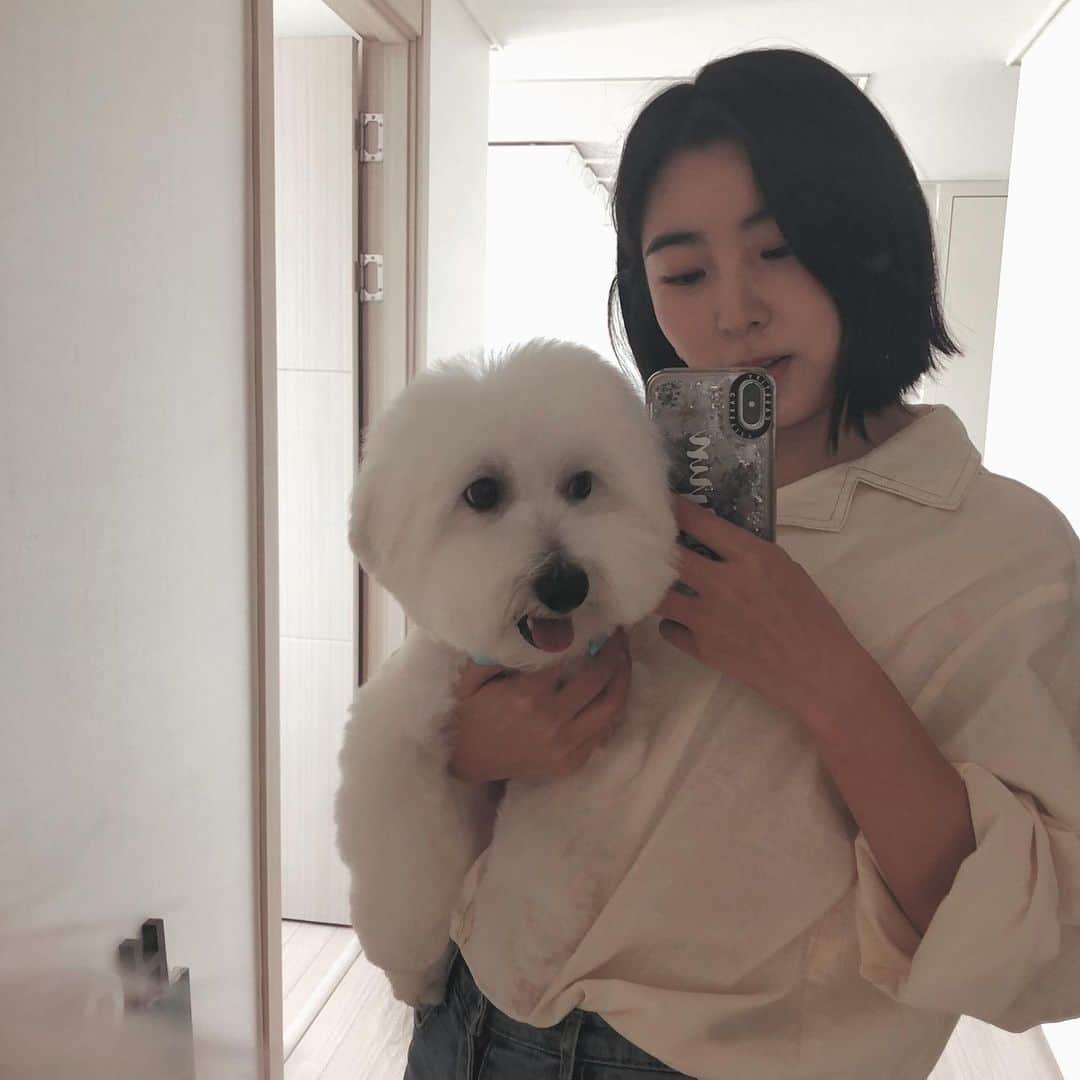 ソヒョン さんのインスタグラム写真 - (ソヒョン Instagram)「사랑스러운 🐶 우리 총이 😍」5月25日 19時03分 - kkwonsso_94