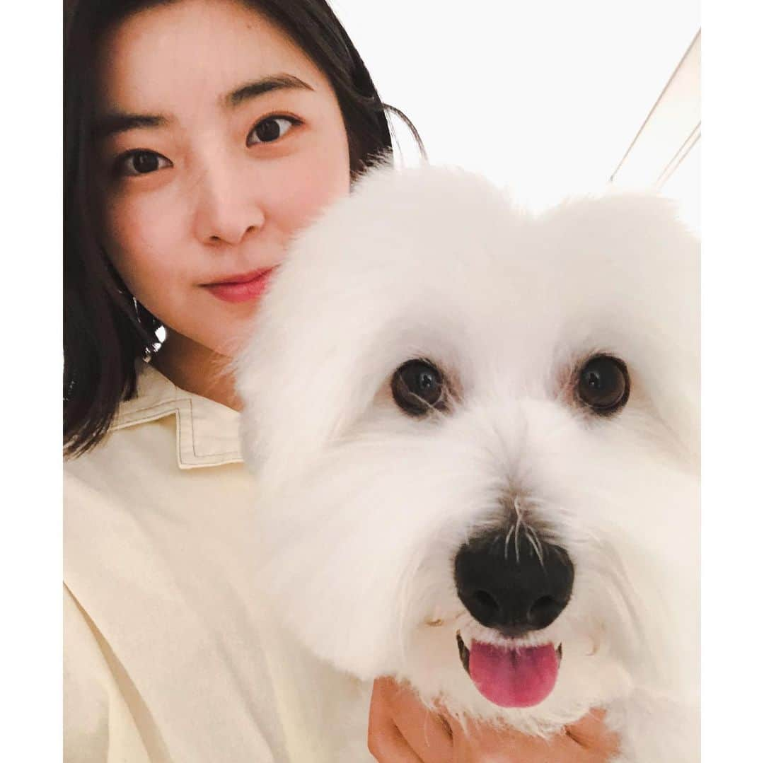 ソヒョン さんのインスタグラム写真 - (ソヒョン Instagram)「사랑스러운 🐶 우리 총이 😍」5月25日 19時03分 - kkwonsso_94