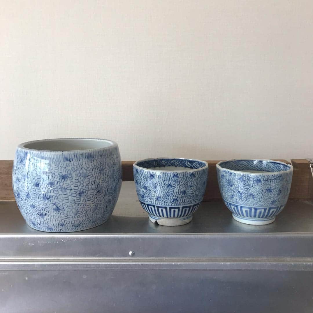 長谷川踏太のインスタグラム：「水でなくて草花の模様なんだけど、ホックニーのプールの模様を細かくしたみたいな感じで涼しげ。  #古伊万里 #微塵唐草模様」