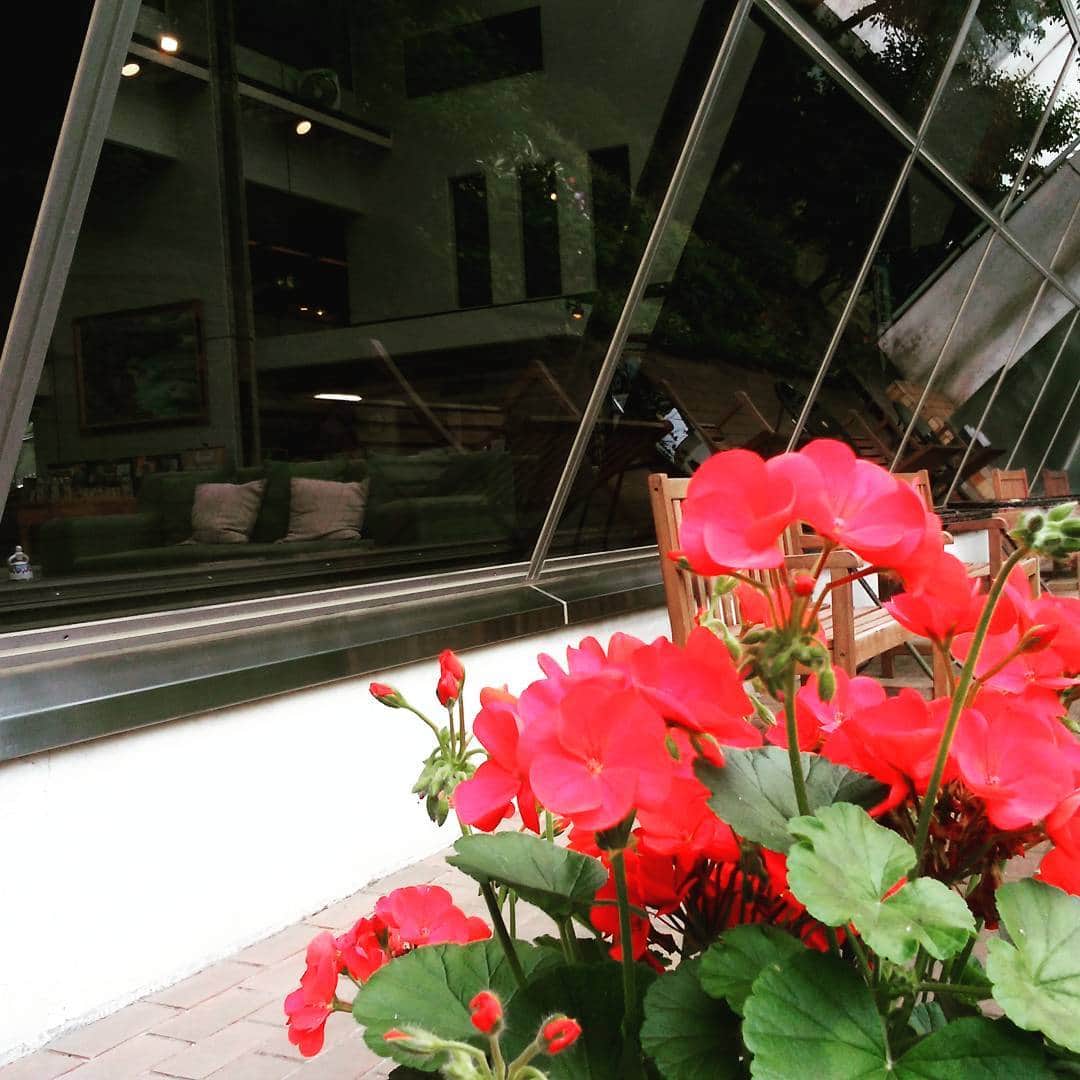 ホテルアンビエント伊豆高原のグルメインスタ