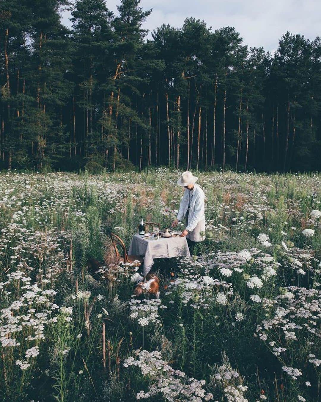 Our Food Storiesさんのインスタグラム写真 - (Our Food StoriesInstagram)「Two summers ago we discovered this magical field of wild carrots (and lot‘s of other beautiful wild plants) during a bike tour through the woods. Last year there was growing nothing, let‘s see if it will be back this summer 🌞 Happy weekend guys! #ourfoodstories_countryside  ____ #fellowmag #countrysideliving #countrysidelife #houseandgarden #outdoorfood #gardeninspo #foodphotographer #foodstylist #simplejoys #gatheringslikethese #momentsofmine #diewocheaufinstagram #theweekoninstagram #tabledecor #picnicday」5月25日 20時07分 - _foodstories_