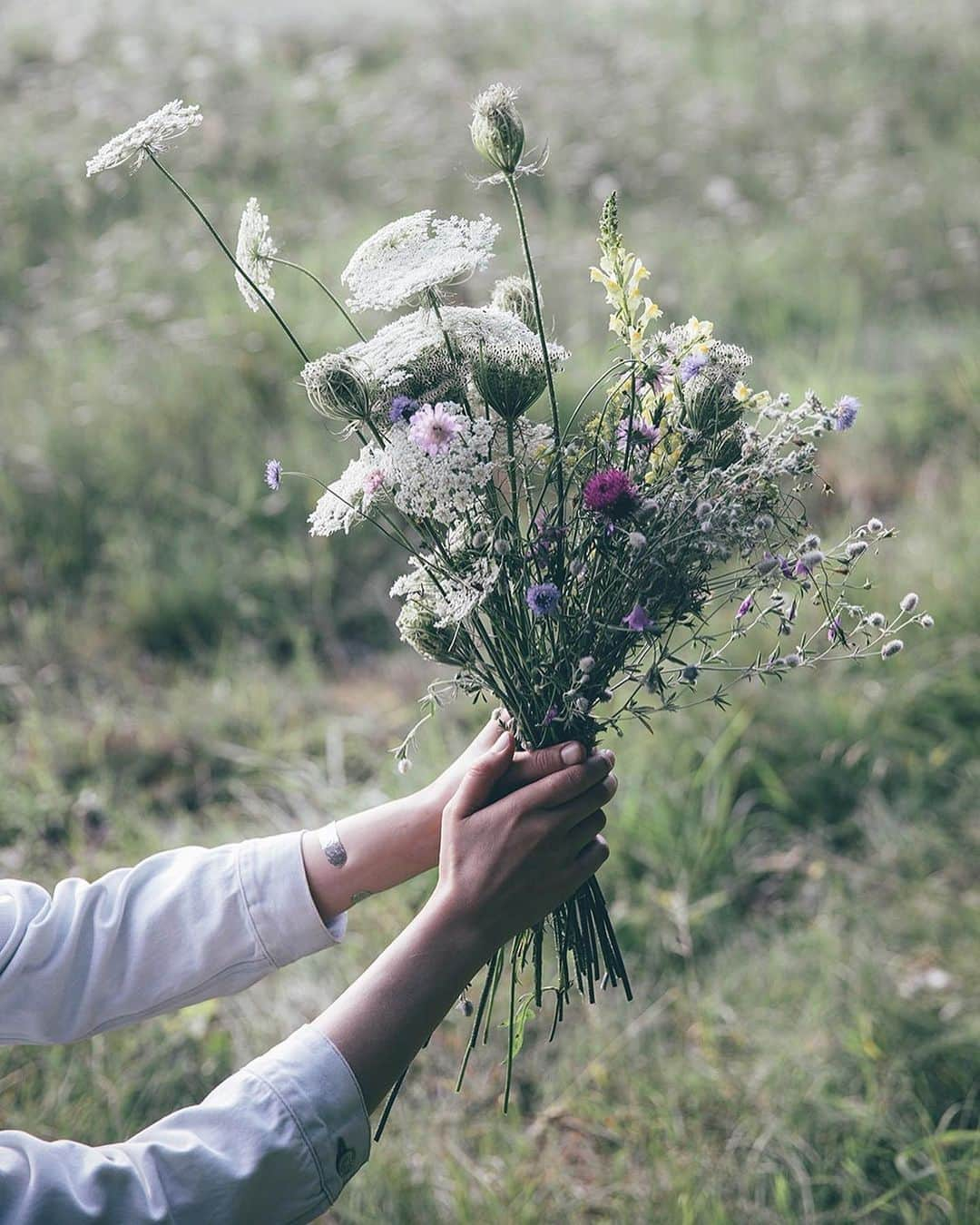 Our Food Storiesさんのインスタグラム写真 - (Our Food StoriesInstagram)「Two summers ago we discovered this magical field of wild carrots (and lot‘s of other beautiful wild plants) during a bike tour through the woods. Last year there was growing nothing, let‘s see if it will be back this summer 🌞 Happy weekend guys! #ourfoodstories_countryside  ____ #fellowmag #countrysideliving #countrysidelife #houseandgarden #outdoorfood #gardeninspo #foodphotographer #foodstylist #simplejoys #gatheringslikethese #momentsofmine #diewocheaufinstagram #theweekoninstagram #tabledecor #picnicday」5月25日 20時07分 - _foodstories_