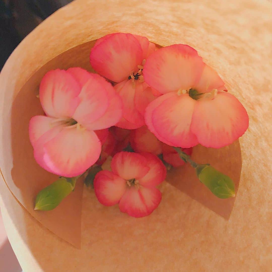 岡部玲子さんのインスタグラム写真 - (岡部玲子Instagram)「本日の癒し☺️❤️ 1、お花屋さんで一目惚れ😍したダイアンサス🌸(カーネーションの仲間・ナデシコ)を購入✨ 高めのお花屋さんなのに、ポイントで安く買えちゃった👀ラッキー✌️ 2、ゴンチャでウーロンパールミルクティーをお持ち帰り☺️ 久しぶりのゴンチャ、甘さゼロ。 あー美味しかった😍  明日も頑張るっ👦🧒🏇 #岡部玲子 #子育て #主婦 #アラフォーママ #タレント #39歳 #花 #ダイアンサス #ナデシコ #ゴンチャ #タピオカ #甘さゼロ #美味しい #満足 #日本ダービー #mama #talent #reporter #flower #gongcha #tapioca #tokyo #japan #derby #happy #smile」5月25日 20時17分 - reiko_okabe