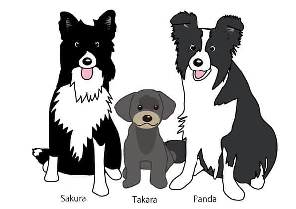 Dogfactoryさんのインスタグラム写真 - (DogfactoryInstagram)「パクチーの妹の桜ちゃんのお家からオーダーで、写真を元にイラストを描いてクルマのウィンドウステッカーを作らせていただきました！描かせて貰ったイラストはグッズやＴシャツにすることもできますよ！ @pan.tak.sak  #オリジナルステッカー #ボーダーコリーステッカー」5月25日 20時10分 - dogfactory_japan