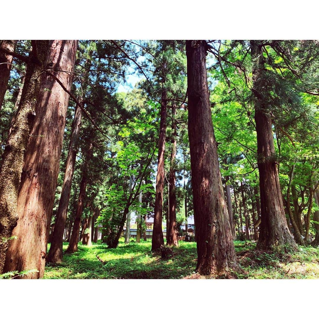 アンジェラ芽衣さんのインスタグラム写真 - (アンジェラ芽衣Instagram)「自然の写真って見てるだけで癒されるから素敵ね﻿ ﻿ #富山県 #富山 #富山のさかな応援Girl」5月25日 20時12分 - ange_la00