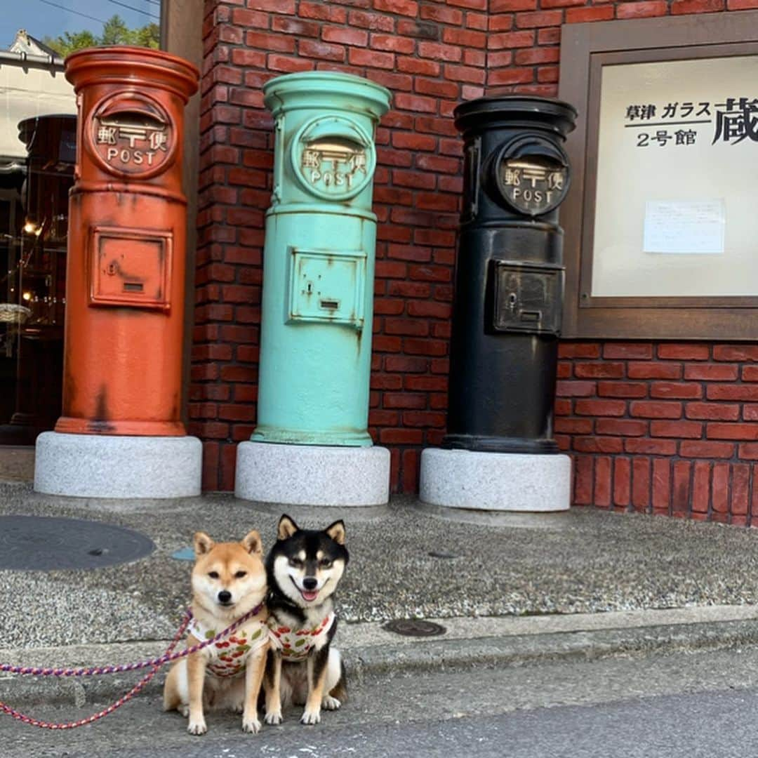 豆柴なつ&ふゆさんのインスタグラム写真 - (豆柴なつ&ふゆInstagram)「We go to Kusatsu-Onsen♨️😆✨ 草津温泉に行きました♨️😆✨ 明日は日本犬祭に行きまーす‼️ #旅行#trip #草津温泉#トトロ#となりのトトロ  #わんこと旅行#ポスト #シバフル#柴犬#shiba #shibainu#dailyshiba #shibastagram #shibamania #sweet#豆柴#癒し #pecoいぬ部#doglove #publicholiday #dogstagram #dogoftheday #かわいい#instashiba #🐕📷 #ふわもこ部 #犬 #柴#proudshibas #cutepets」5月25日 20時38分 - mameshiba.natsuinu56