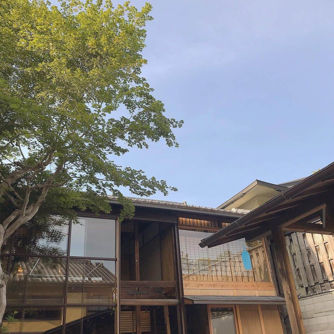 mayuのグルメインスタ