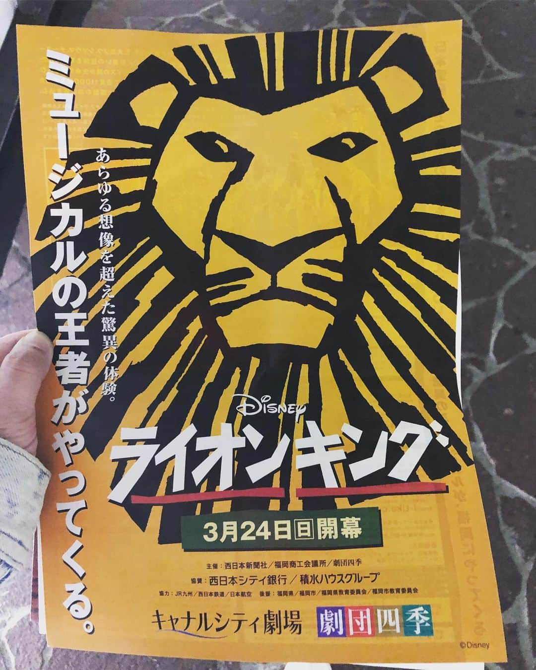 てん（ものまね）さんのインスタグラム写真 - (てん（ものまね）Instagram)「ライオンキング観てきたよ️🦁 感動のシーンやシリアスなシーンにどっぷり浸ってるのに、YouTube見過ぎたせいか度々岡村さん降臨してきて危険だった⚠️🤣 そしてね、後ろのお子ちゃま(3歳くらいかな？)がリズムにのりながらてん★の頭をリズミカルにポンポコしながら楽しそうに観劇してたの🤣 素敵な音色が出なくてごめんね😂🙏 あーーーヤングナラちゃん可愛かった☺️❤」5月25日 20時57分 - tenkukku10