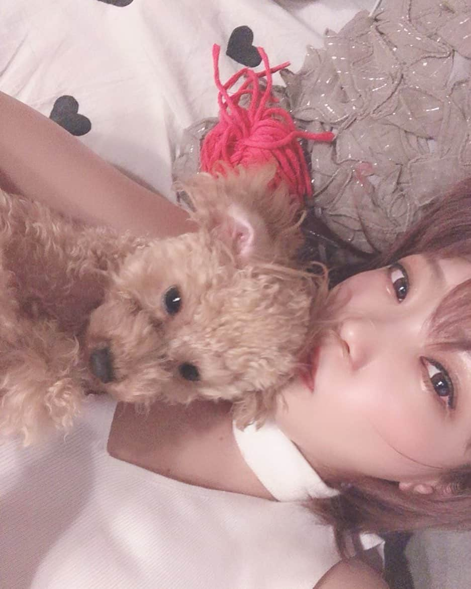 藤田恵名さんのインスタグラム写真 - (藤田恵名Instagram)「ワンワンとニャンニャン写真流出  キャッ😻🙉🐶☝︎💘💘💘」5月25日 21時06分 - enamelchan