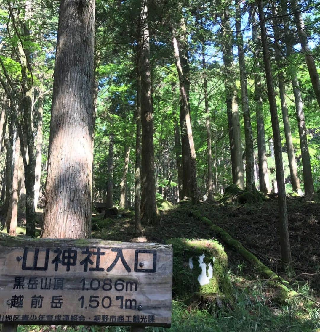 西谷綾子さんのインスタグラム写真 - (西谷綾子Instagram)「✴︎ 富士山に見惚れながら新緑に癒され…😍💓 トレイルラン🏃‍♀️約12km🐾 ・ お喋りしながらも楽しいっ🙌 無心になれるのも好き🎶🙂 ・ 自然と触れ合う時間は 私にとってリフレッシュ法の1つでもある☘️✨ ・ 3時間切りのためにも良いトレーニングにっ💓 ・ #トレイルランで繋がる #新たなお友達 #トレイルランニング  #トレイルシューズ #ニューバランス  #静岡 #富士山 #自然 #新緑  #training #newbalance #enjoy #trail #fujiyama」5月26日 8時37分 - ayako.nishitani