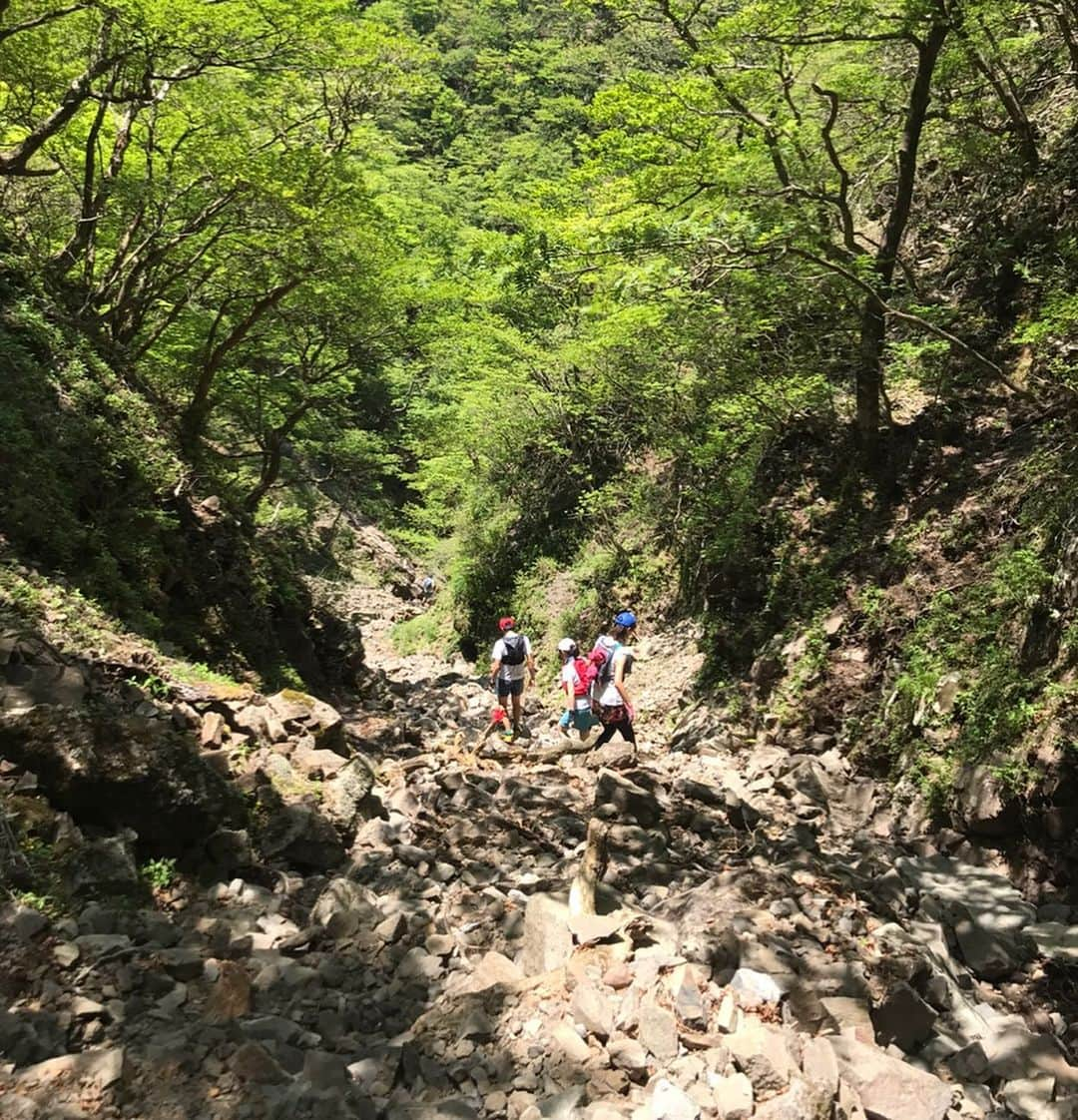 西谷綾子さんのインスタグラム写真 - (西谷綾子Instagram)「✴︎ 富士山に見惚れながら新緑に癒され…😍💓 トレイルラン🏃‍♀️約12km🐾 ・ お喋りしながらも楽しいっ🙌 無心になれるのも好き🎶🙂 ・ 自然と触れ合う時間は 私にとってリフレッシュ法の1つでもある☘️✨ ・ 3時間切りのためにも良いトレーニングにっ💓 ・ #トレイルランで繋がる #新たなお友達 #トレイルランニング  #トレイルシューズ #ニューバランス  #静岡 #富士山 #自然 #新緑  #training #newbalance #enjoy #trail #fujiyama」5月26日 8時37分 - ayako.nishitani