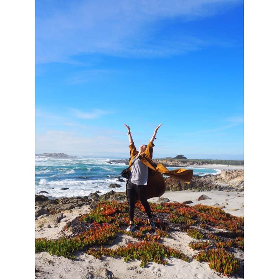 坂田陽子さんのインスタグラム写真 - (坂田陽子Instagram)「サンフランシスコから南に車で2時間半程向かうと、 モントレー〜カーメルという高級リゾートタウンを結ぶ途中にある 美しい海岸沿いドライブコース、 #17miledrive ・ 遠浅の透明な海の色、鮮やかな花に彩られ、気持ち良さそうに岩場で休む海鳥がいたり、波の音を聞きながらのゴルフコースに 海をのぞむ高級住宅街。 松島辺りを思わせる日本らしい海岸線があったり、そのどこをとっても美しい、絵になる景観が広がっていてまさに天国☺️ ・ どこも違った表情を見せてくれるからちょっと進んでは車を停めて撮影して（笑）なかなか先に進めない😂 ・ て事で。 白砂と荒々しい岩の対比が美しい場所で久々の #地球に生まれて良かった ポーズ📷 ・ ・ 全米オープンが5度も開催されるなど、ゴルファー憧れの #pebblebeachresorts は一見の価値有り。重厚感ある白亜のロッジから眺める海沿いの18番ホール。ドラマチックでめちゃくちゃ絵になります😆 宿泊者ではないとプレー出来ないそうで。。いつか⭐️いつか、、、💦 と、夢に見てしまいます（その前にスコアどうにかしろって笑） ・ ・ #sanfrancisco  #サンフランシスコ  #california  #spanishbay  #pebblebeach  #pebblebeachgolflinks」5月26日 8時51分 - yokosakata