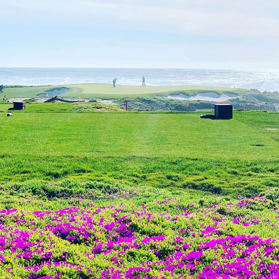 坂田陽子さんのインスタグラム写真 - (坂田陽子Instagram)「サンフランシスコから南に車で2時間半程向かうと、 モントレー〜カーメルという高級リゾートタウンを結ぶ途中にある 美しい海岸沿いドライブコース、 #17miledrive ・ 遠浅の透明な海の色、鮮やかな花に彩られ、気持ち良さそうに岩場で休む海鳥がいたり、波の音を聞きながらのゴルフコースに 海をのぞむ高級住宅街。 松島辺りを思わせる日本らしい海岸線があったり、そのどこをとっても美しい、絵になる景観が広がっていてまさに天国☺️ ・ どこも違った表情を見せてくれるからちょっと進んでは車を停めて撮影して（笑）なかなか先に進めない😂 ・ て事で。 白砂と荒々しい岩の対比が美しい場所で久々の #地球に生まれて良かった ポーズ📷 ・ ・ 全米オープンが5度も開催されるなど、ゴルファー憧れの #pebblebeachresorts は一見の価値有り。重厚感ある白亜のロッジから眺める海沿いの18番ホール。ドラマチックでめちゃくちゃ絵になります😆 宿泊者ではないとプレー出来ないそうで。。いつか⭐️いつか、、、💦 と、夢に見てしまいます（その前にスコアどうにかしろって笑） ・ ・ #sanfrancisco  #サンフランシスコ  #california  #spanishbay  #pebblebeach  #pebblebeachgolflinks」5月26日 8時51分 - yokosakata