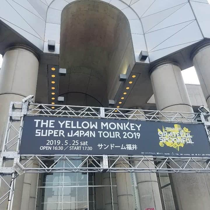 川原ちかよさんのインスタグラム写真 - (川原ちかよInstagram)「THE YELLOW MONKEY﻿ SUPER JAPAN TOUR 2019﻿ GRATEFUL SPOONFUL﻿ ♣️初日！福井！﻿ ﻿ α-STATIONのBELIEVER.たちと参戦。﻿ ﻿ ♣️！﻿ 思ってたより、﻿ 攻めのセットリストだったなー。﻿ ﻿ ♦️♥️♣️﻿ 全然違うセットリストなんだけど、﻿ それぞれにわぁーーー！！ってなるとこと﻿ グッとくるところがあって。﻿ ﻿ それは、やっぱり、﻿ 「イエローモンキーにしかない﻿ 音と言葉」があるから。﻿ ﻿ イエローモンキーにしかない﻿ 音と言葉で、﻿ 渋くてギラギラしたバンドになるって﻿ 最高だよね。﻿ 一生、好きだよね！﻿ ﻿ “人生は、人間関係、﻿ 出会った人たちで決まる”﻿ みたいなことを吉井さんが言ってたけど。﻿ そうだよね。﻿ だから、私、﻿ 「出会えてよかった」は、﻿ 気持ちを伝える最上級の言葉だと﻿ 思ってる。﻿ ﻿ 今日もまたそう思った。﻿ 今日もまたそう伝えたいと思った。  #TYMS2019GS #福井﻿」5月26日 1時52分 - chikayo_baby