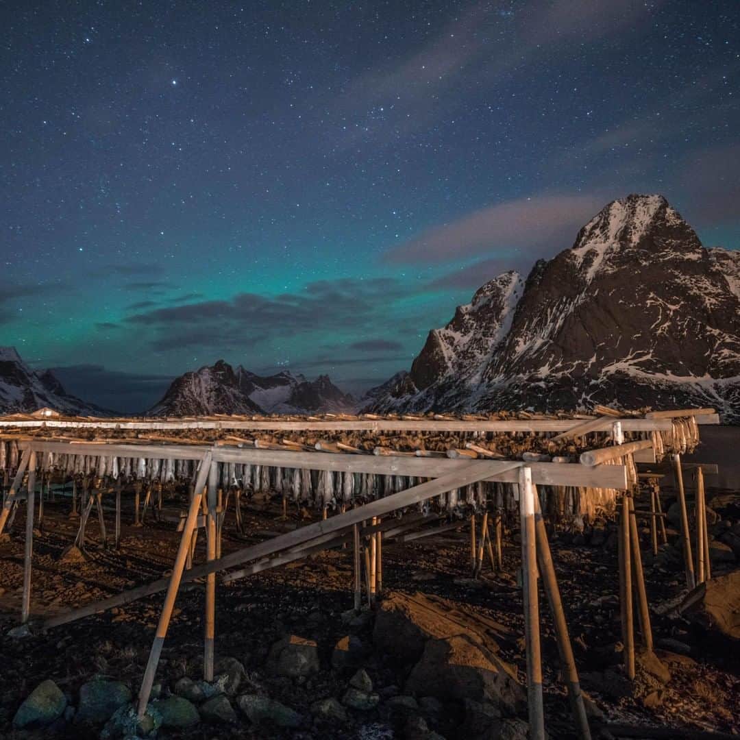 Lonely Planetさんのインスタグラム写真 - (Lonely PlanetInstagram)「'Cod fishing is the main industry for locals that live on the Lofoten Islands. Wooden drying racks like the one shown in the foreground here, are constructed all over the islands. The fish are hung from these racks and allowed to dry out in the cold arctic air. Sometimes the smell can be very overwhelming!' – @michaelpetrick91 #lpinstatakeover #lpPathfinders #Norway」5月26日 2時00分 - lonelyplanet