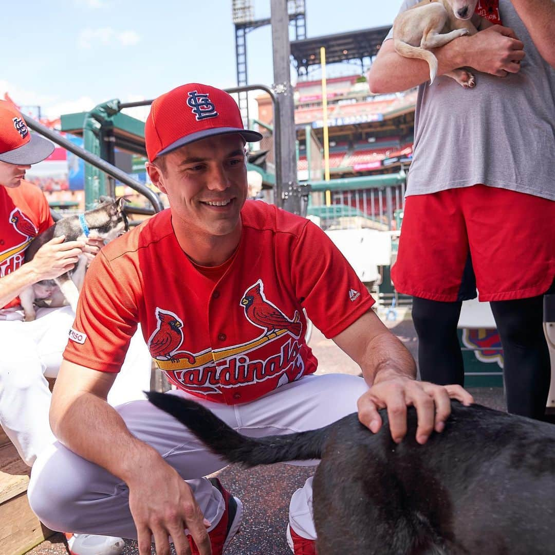 セントルイス・カージナルスさんのインスタグラム写真 - (セントルイス・カージナルスInstagram)「😍😍😍」5月26日 3時37分 - cardinals