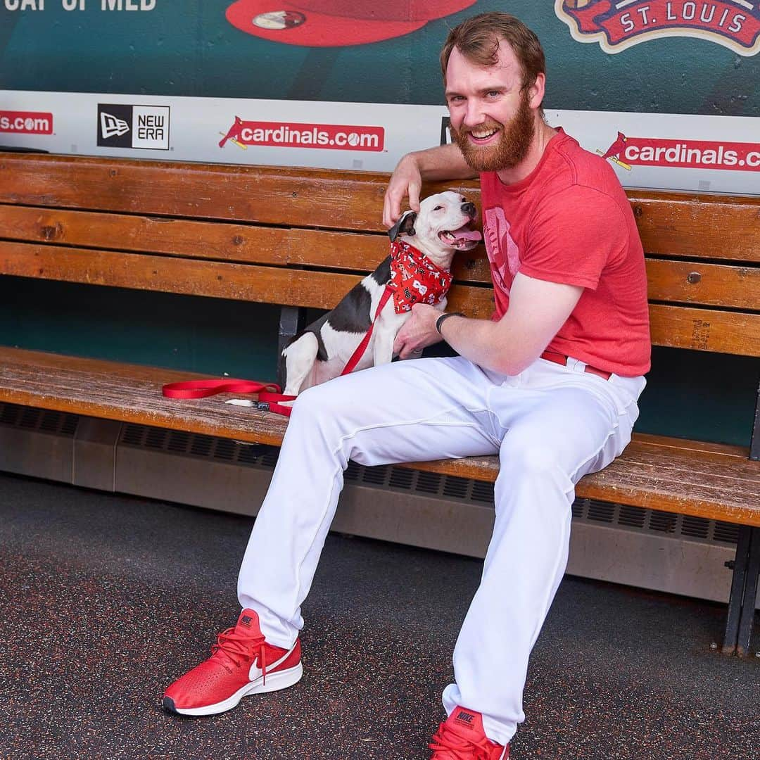 セントルイス・カージナルスさんのインスタグラム写真 - (セントルイス・カージナルスInstagram)「😍😍😍」5月26日 3時37分 - cardinals