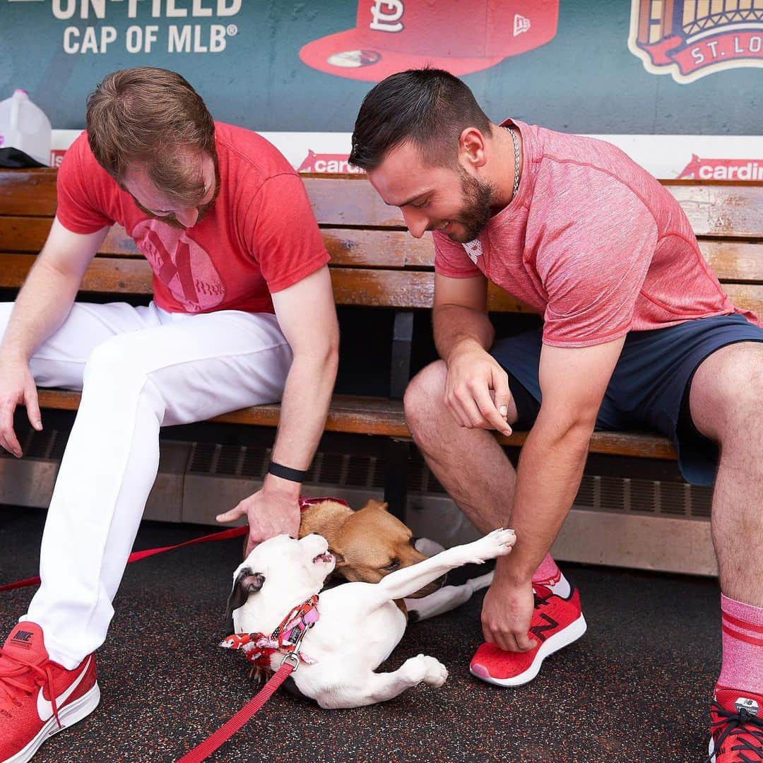 セントルイス・カージナルスさんのインスタグラム写真 - (セントルイス・カージナルスInstagram)「😍😍😍」5月26日 3時37分 - cardinals