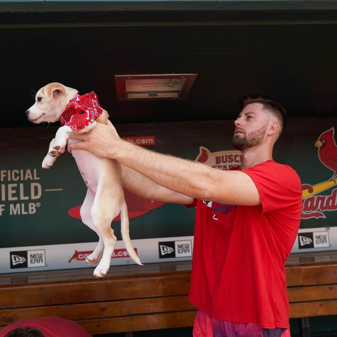 セントルイス・カージナルスさんのインスタグラム写真 - (セントルイス・カージナルスInstagram)「😍😍😍」5月26日 3時37分 - cardinals