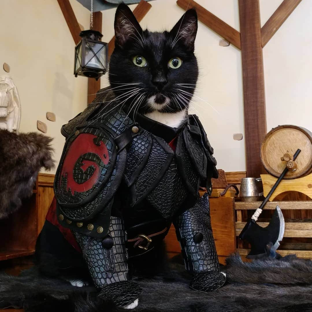 猫コスプレさんのインスタグラム写真 - (猫コスプレInstagram)「Be the best mew that mew can be.  #HowToTrainYourDragon #Hiccup . . . . . . . . #hiccuphaddock #hiccupcosplay #httyd #httydfanart #httydfandom #caturday #howtotrainyourdragoncosplay #dragonrider #catarmor #cosplay #cosplayarmor #cosplayer #catcostume #cat #BestCat」5月26日 4時29分 - cat_cosplay