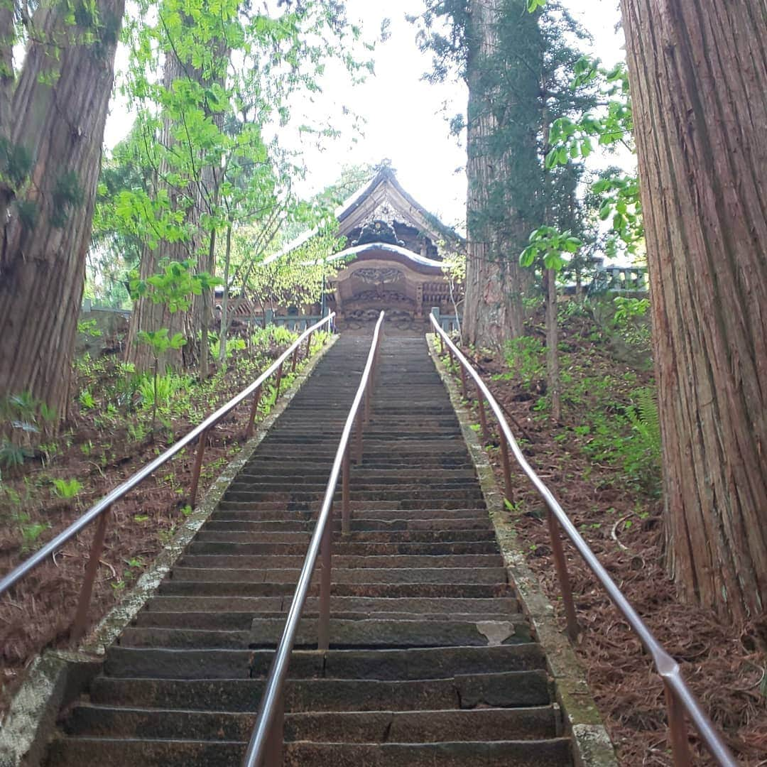 LOVE ME DOさんのインスタグラム写真 - (LOVE ME DOInstagram)「戸隠神社・宝光社 #戸隠神社 #戸隠神社宝光社 #宝光社 #御朱印巡りの旅」5月26日 5時21分 - lovemedo_fortunteller