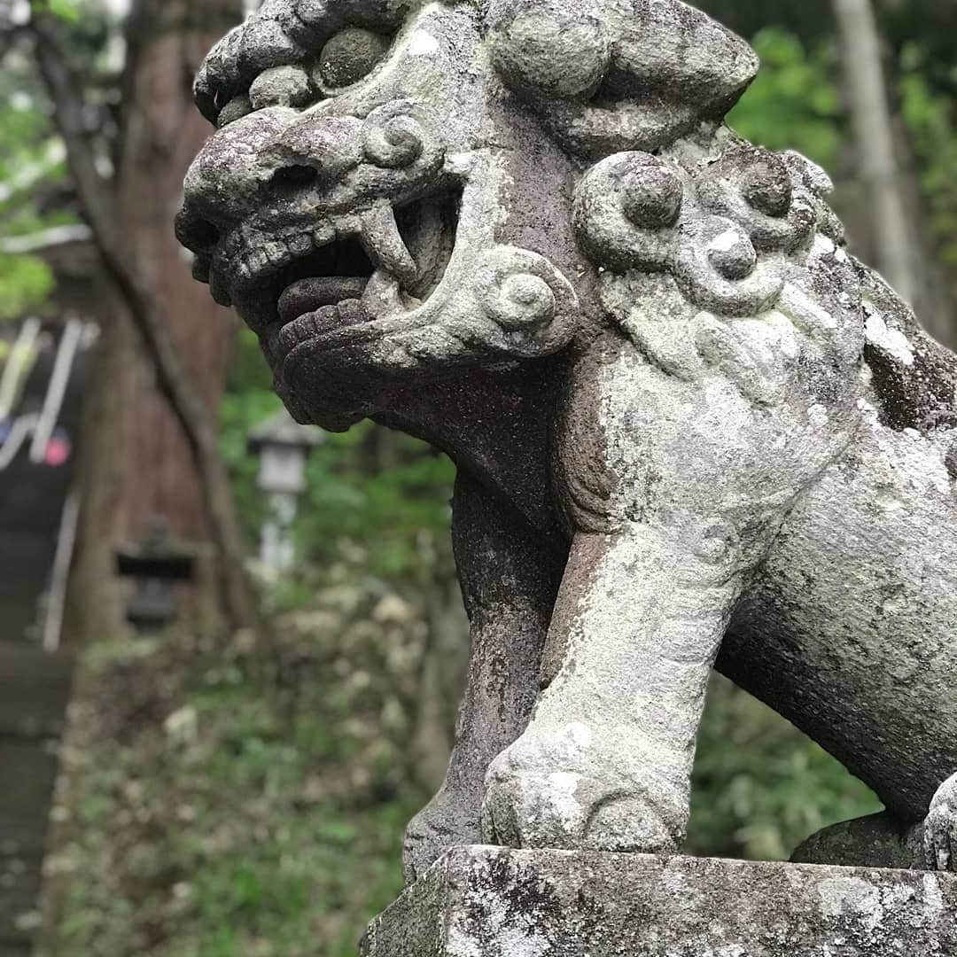 LOVE ME DOさんのインスタグラム写真 - (LOVE ME DOInstagram)「戸隠神社・宝光社 #戸隠神社 #戸隠神社宝光社 #宝光社 #御朱印巡りの旅」5月26日 5時21分 - lovemedo_fortunteller