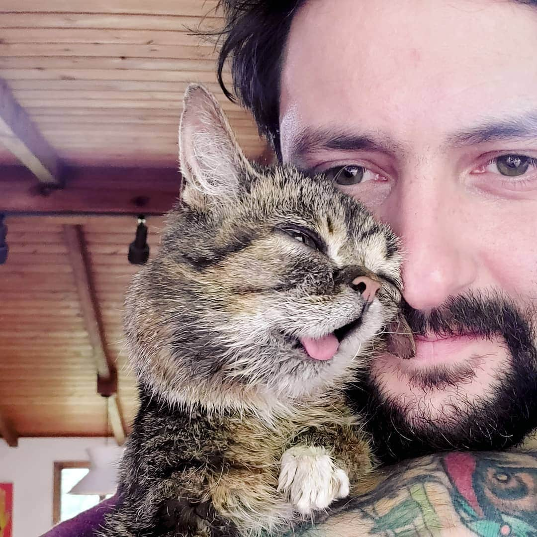 Lil BUBさんのインスタグラム写真 - (Lil BUBInstagram)「Enjoying this day with BUB. #gooddaybub #lilbub #iamlilbub」5月26日 5時23分 - iamlilbub