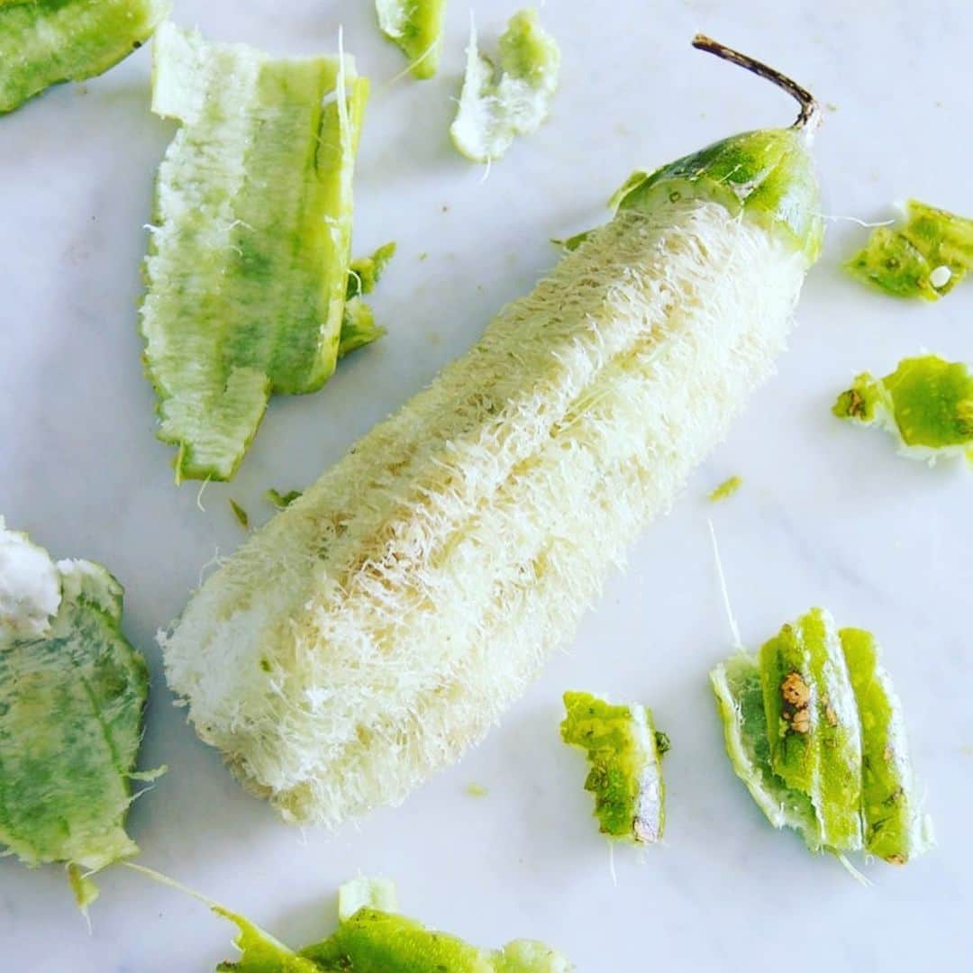 Lanikai Bath and Bodyさんのインスタグラム写真 - (Lanikai Bath and BodyInstagram)「Loofah is from the cucumber family did you know? Pretty cool how they grow. Best exfoliating soap ever. #lanikaibathandbody #lanikaibathandbodyjapan #natural #kailuatownhi」5月26日 6時19分 - lanikaibathandbody