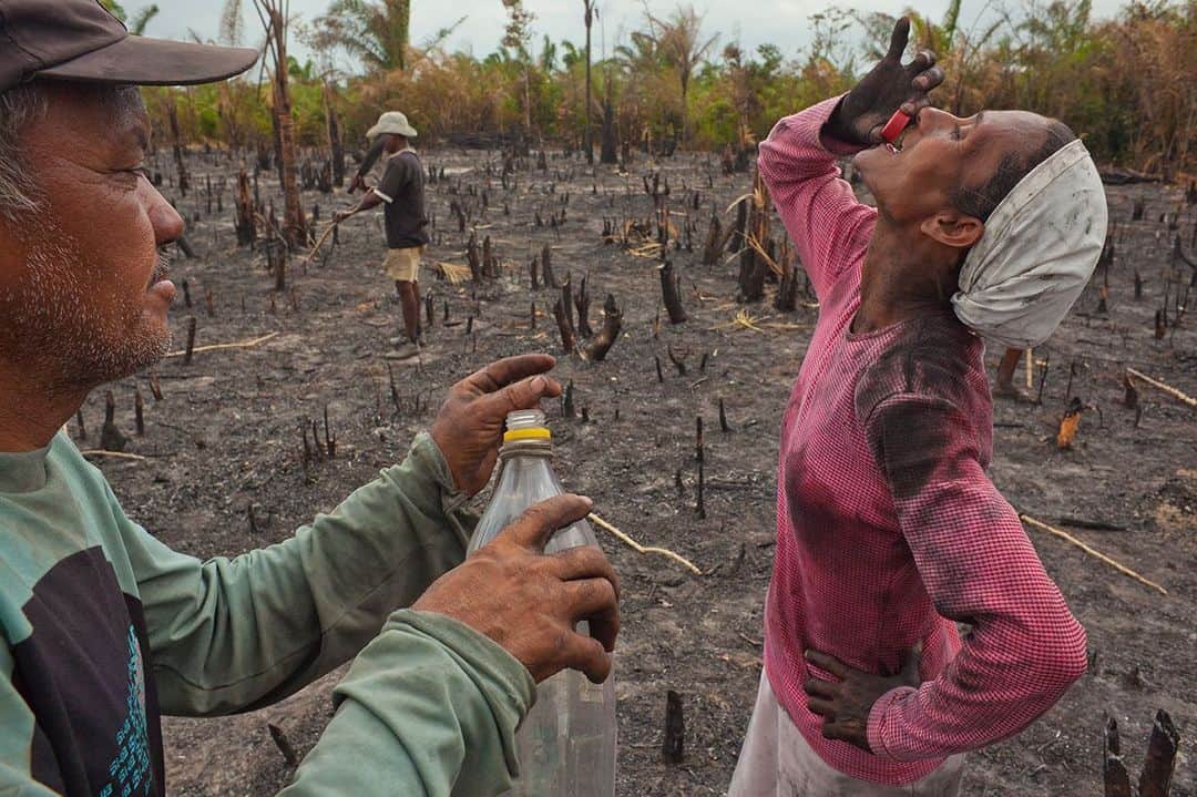 National Geographic Creativeさんのインスタグラム写真 - (National Geographic CreativeInstagram)「Photo by @tyronefoto | A woman drinks a shot of sugarcane rum while helping clear land to grow cassava root in Maranhao State, Brazil. #Sugarcane  #Crops #Brazil」5月26日 6時37分 - natgeointhefield