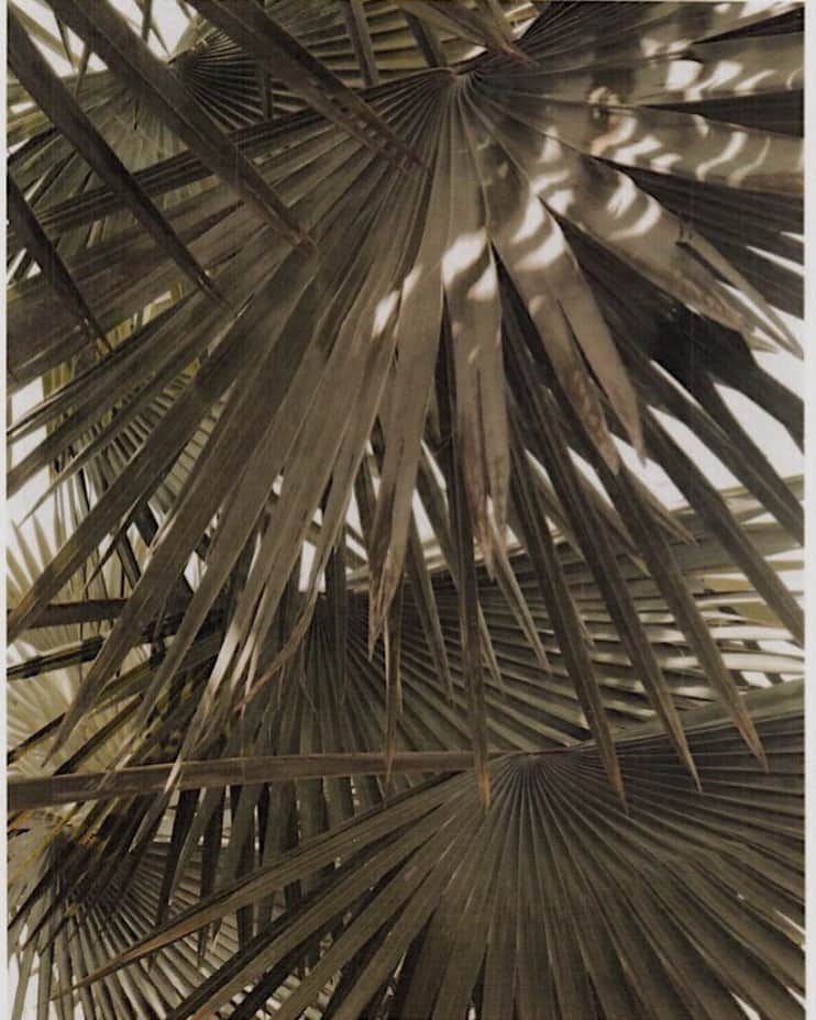 のインスタグラム：「Long weekend plans: get out in nature. Happy Memorial Day! #bwloves #designinspiration」