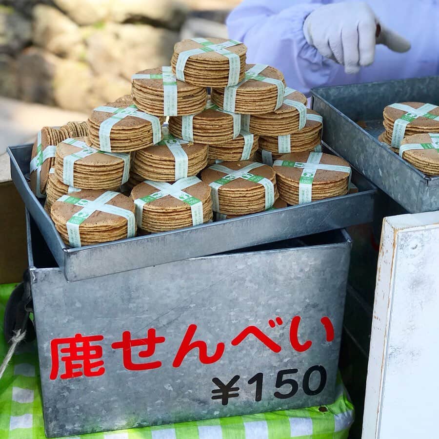 福田里香さんのインスタグラム写真 - (福田里香Instagram)「これは、おいしそうなお煎餅。 焼き色といい、薄さといい それに、生地のテクスチャーもいい……… なんて感じがいいんでしょう。 それもそのはずです。 長年に渡り、 奈良で一番人気の銘菓ですから。 ただし、鹿限定でな。 🦌🦌🦌🦌🦌🦌🦌🦌🦌🦌🦌🦌🦌🦌🦌 #鹿せんべい¥150 #奈良の銘菓」5月26日 6時47分 - riccafukuda
