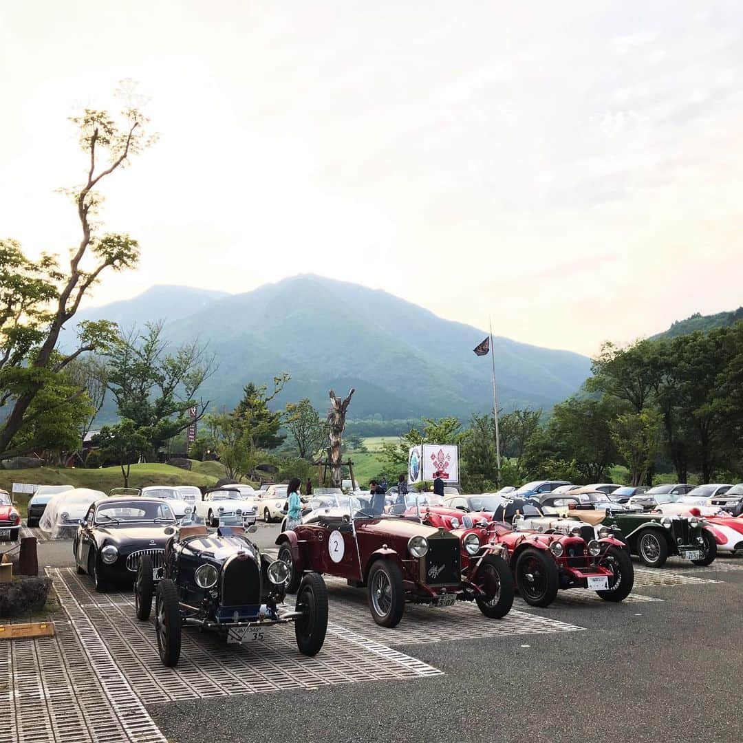 TOGGYのグルメインスタ