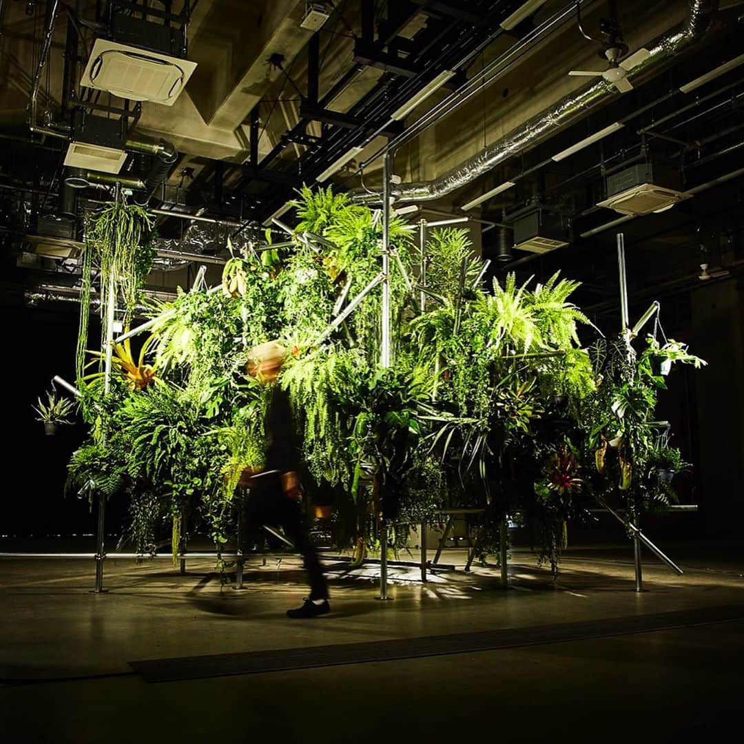 東信さんのインスタグラム写真 - (東信Instagram)「Botanical Sculpture in Harumi Tokyo Date : May 24, 2019  #azumamakoto #makotoazuma #shiinokishunsuke #amkk #amkkproject #flowers #flowerart #botanicalsculpture #東信 #東信花樹研究所 #fujifilm #fujikina2019 #富士フイルム #フジキナ2019」5月26日 7時09分 - azumamakoto